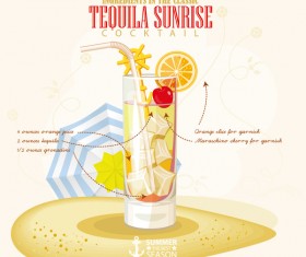 Cocktails ingredients poster vectors material 02