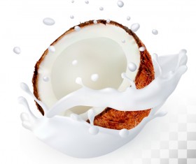 Coconut with splash milk vector