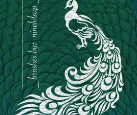 Decorative Peacock photoshop brushes