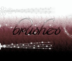 Decorative floral photoshop brushes set