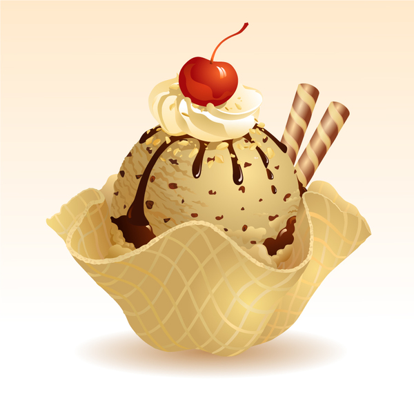 Delicious chocolate ice cream vector 02