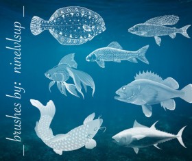 Different fish photoshop brushes