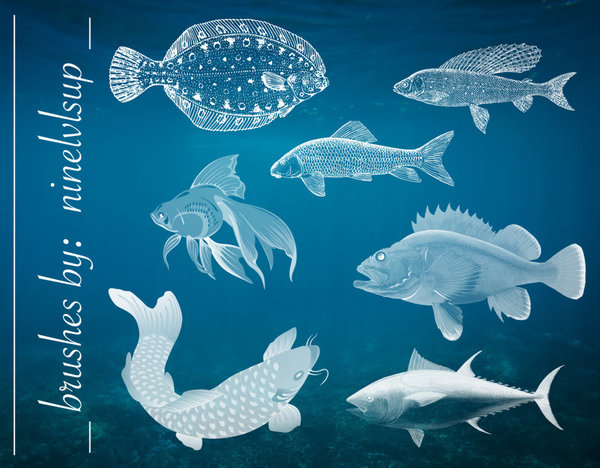 Different fish photoshop brushes