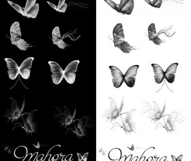 Elegant butterflies photoshop brushes set