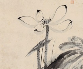 Elegant ink lotus HD picture