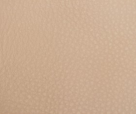 Fine grain leather texture Stock Photo 02