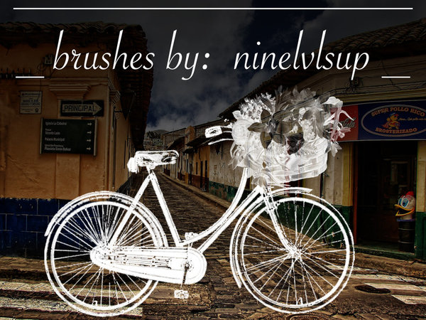 Flower basket bike photoshop brushes