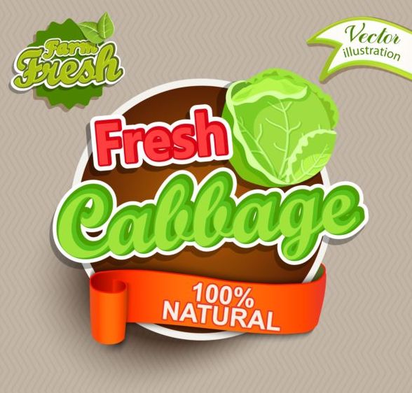 Fresh cabbage labels vector