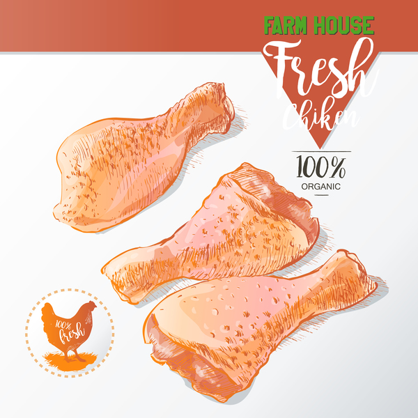 Fresh chicken legs meat poster vector template 01