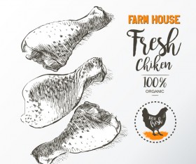 Fresh chicken legs meat poster vector template 02