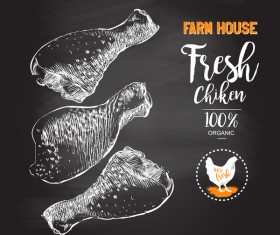 Fresh chicken legs meat poster vector template 04