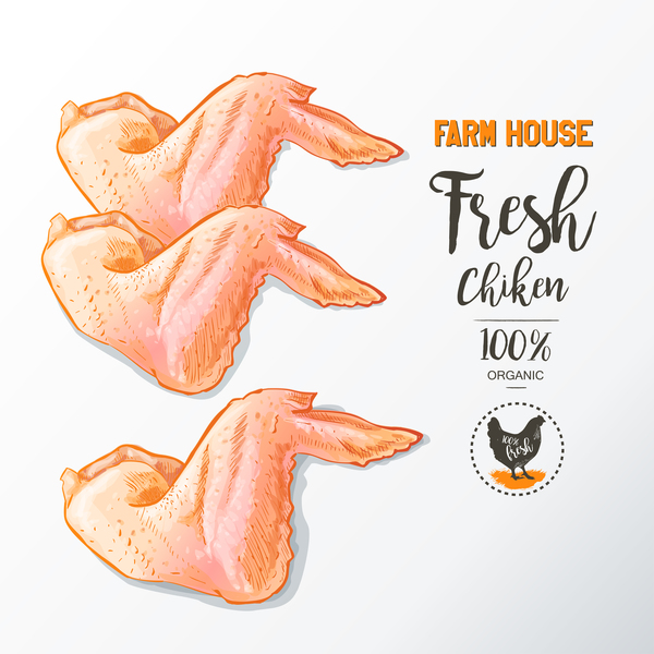 Fresh chicken wings meat poster vector 03