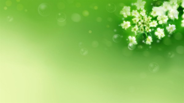 2003279 Light Green Flower Background Images Stock Photos  Vectors   Shutterstock