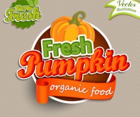 Fresh pumpkin nature product labels vector