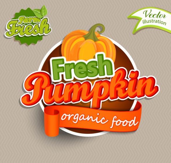 Fresh pumpkin nature product labels vector