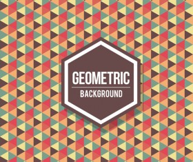 Geometric pattern with retro background vector 10