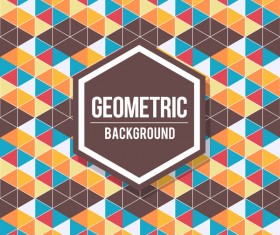 Geometric pattern with retro background vector 16