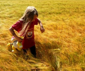 Girl in the wheat field HD picture