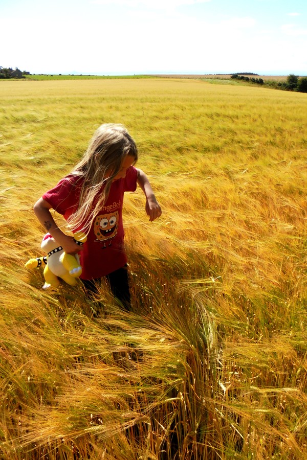 Girl in the wheat field HD picture