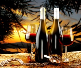 Glasses of wine and delicious grapes Stock Photo 02