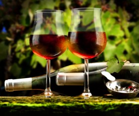 Glasses of wine and delicious grapes Stock Photo 03