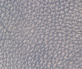 Gray leather texture Stock Photo