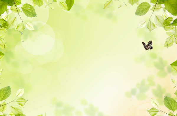 Green leaf with butterfly background Stock Photo