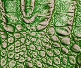 Green leather texture Stock Photo