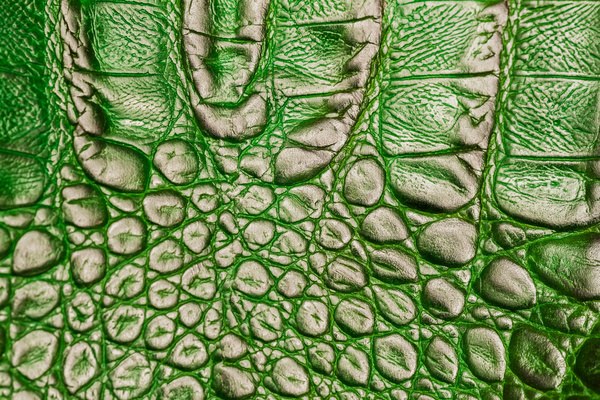 Green leather texture Stock Photo