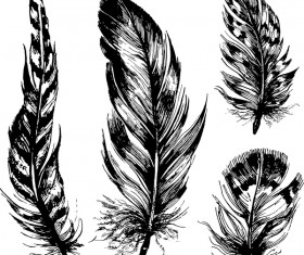 Hand drawn black feather vecors 02