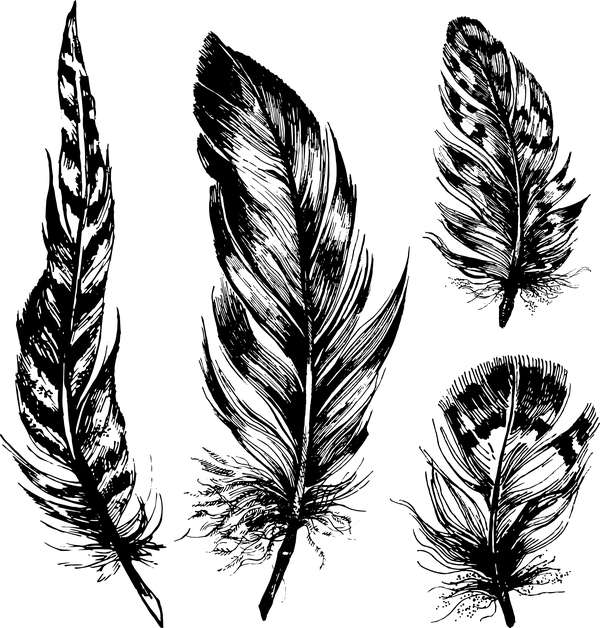 Hand drawn black feather vecors 02