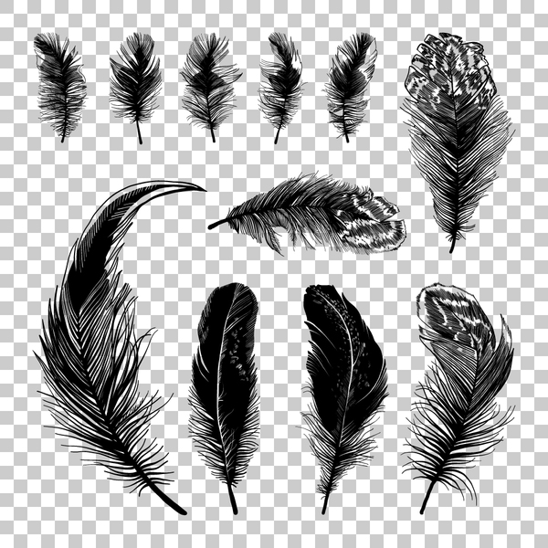 Hand drawn black feather vecors 03
