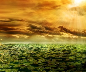 Hawthorn landscape photography Stock Photo