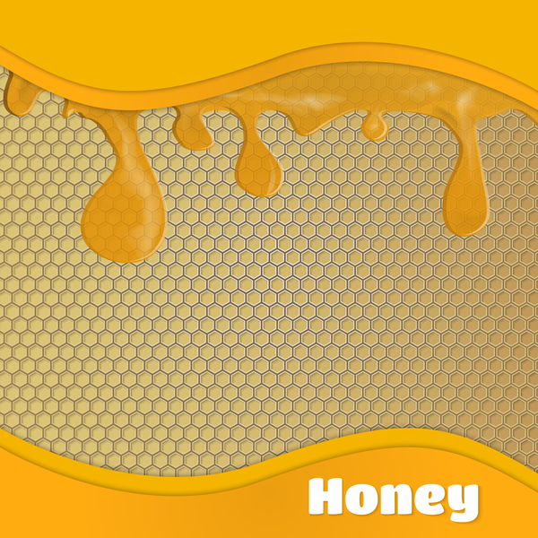 Honeycomb background with honey drop vector