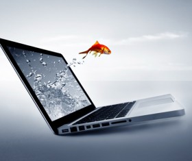 Jump out of the notebook goldfish HD picture