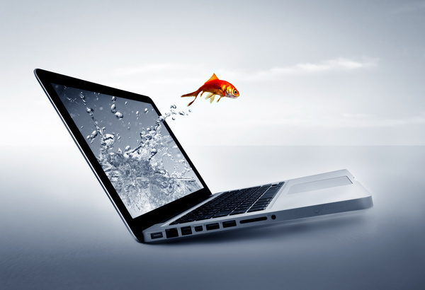 Jump out of the notebook goldfish HD picture