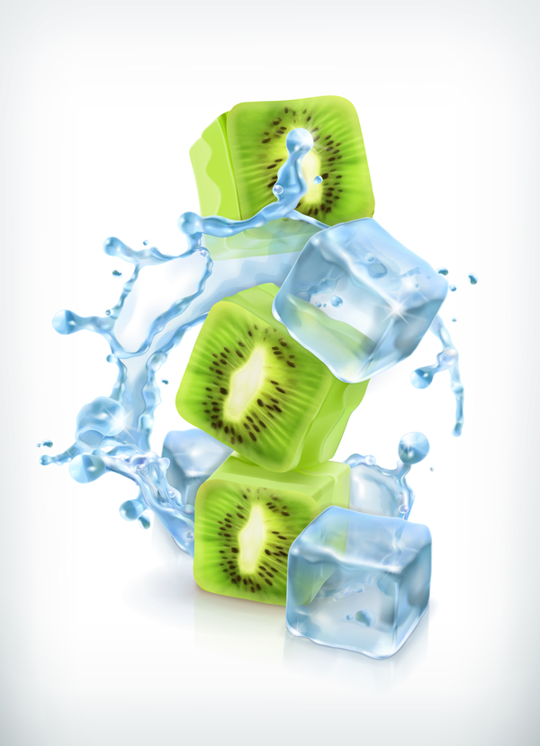 Kiwi with ice cubes and water splash vector