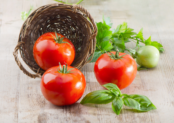 Mature tomatoes with green tomatoes Stock Photo