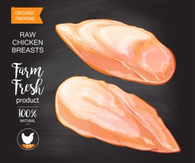 Organic chicken meat poster vector 01