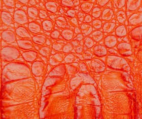 Red leather texture Stock Photo 01