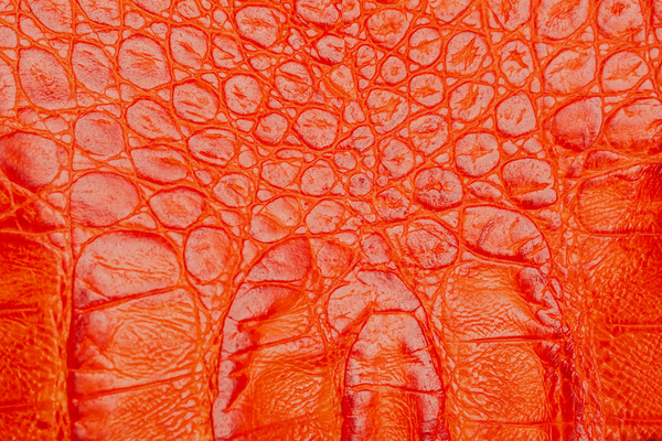 Red leather texture Stock Photo 01