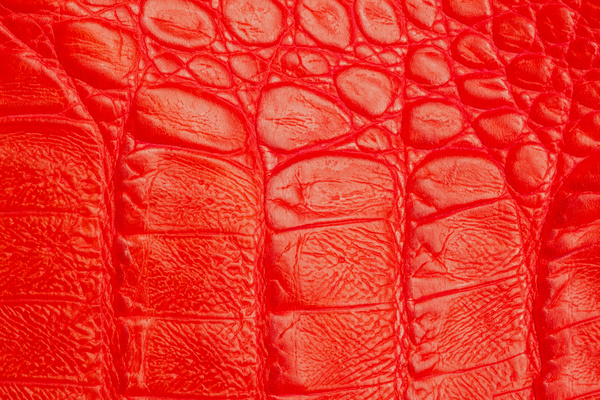 Red leather texture Stock Photo 02