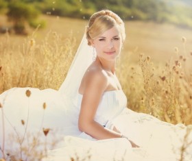 Romantic wedding beauty HD picture