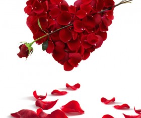 Rose through the heart HD picture