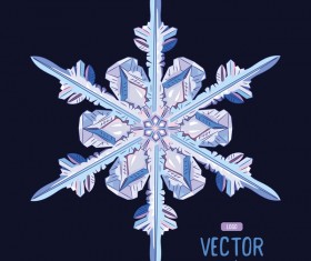 Snowflake shape with snow frame on black background vector 01