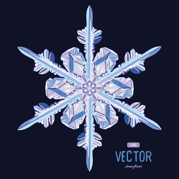 Snowflake shape with snow frame on black background vector 01