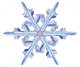 Snowflake with white background vector material 03