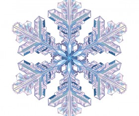 Snowflake with white background vector material 05