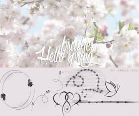Spring decor photoshop brushes