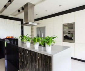 Stock photo Modern kitchen design 07